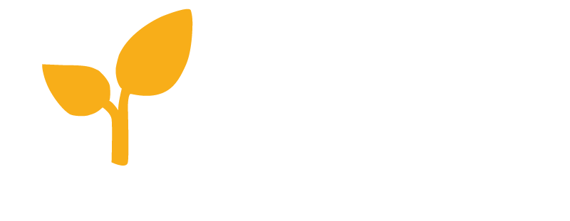 Population Health Platform